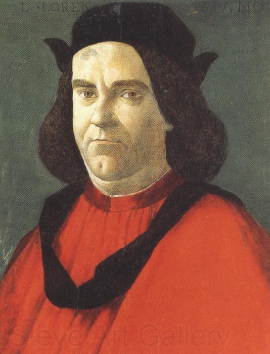 Sandro Botticelli Portrait of Lorenzo de'Lorenzi (mk36) Spain oil painting art